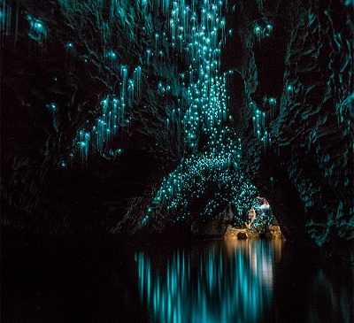bioluminiscente cueva asombroso waitomo gusano