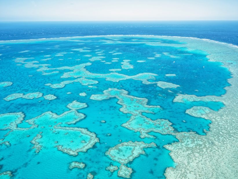 coral reef barrera australia vista aerea big